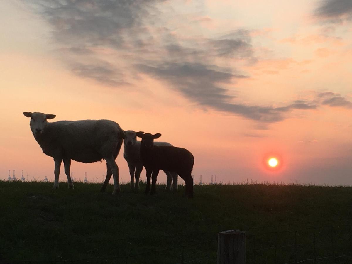 Annemaries Nordseehaus Butjadingen Luaran gambar